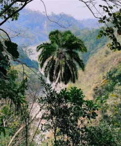 বড় মহাকাল - ৫